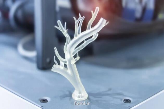حل بحران پیوند عضو با چاپ سه بعدی یخی