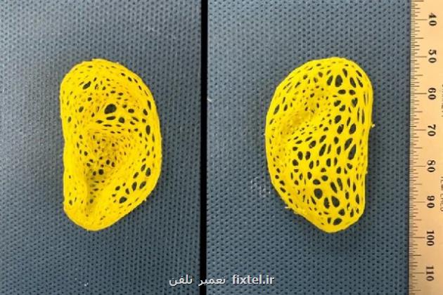 پژوهشگران گوش انسان را چاپ کردند!
